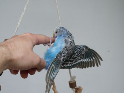 Eigengewichtstraining 2